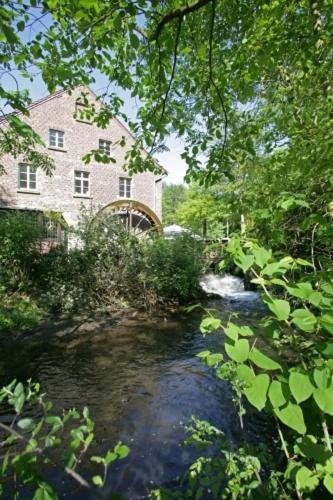 Hotel-Garni Luttelforster Muhle Schwalmtal  Exterior foto